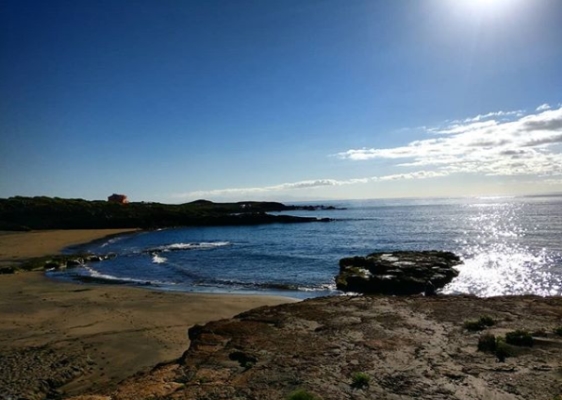 freediving in Tenerife - Abades1