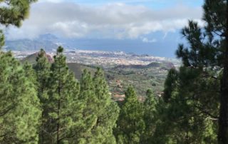 freediving in Tenerife - day trip3