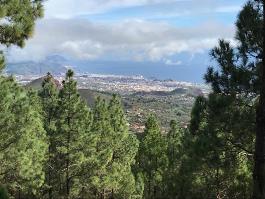 freediving in Tenerife - day trip3