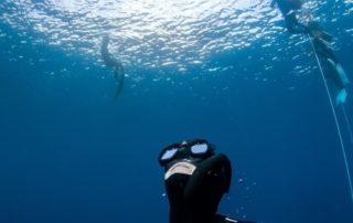 freediving in tenerife -