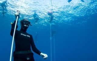 freediving in tenerife -