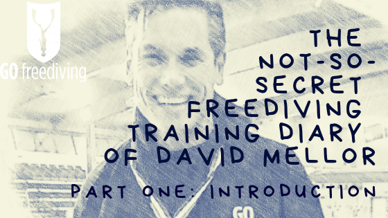 freediving training diary David Mellor part one