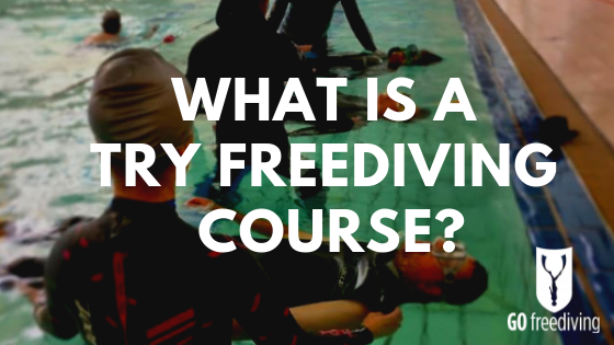 what is a try freediving course featured image1