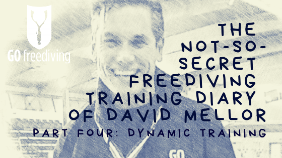 The Not-s0-secret Diary of David Mellor Dynamic Training