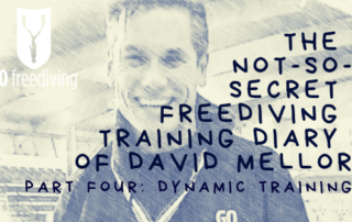 The Not-s0-secret Diary of David Mellor Dynamic Training