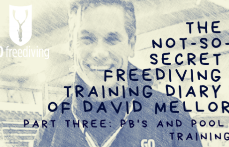 David Mellor Diary - Pb's and Pool training
