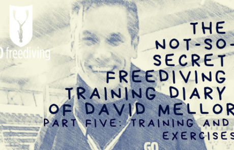 David Mellor Diary - Training exercises
