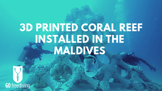 Coral reef 3D