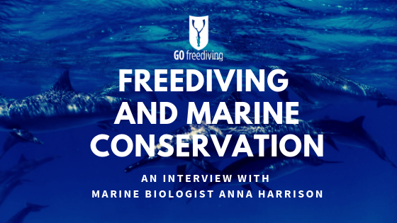 Marine Conservation 2