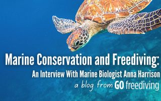 Marine Conservation Go Freediving