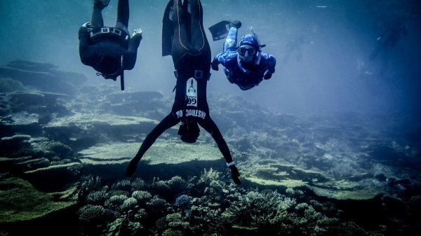 Red Sea Freediving Holiday - Instructor