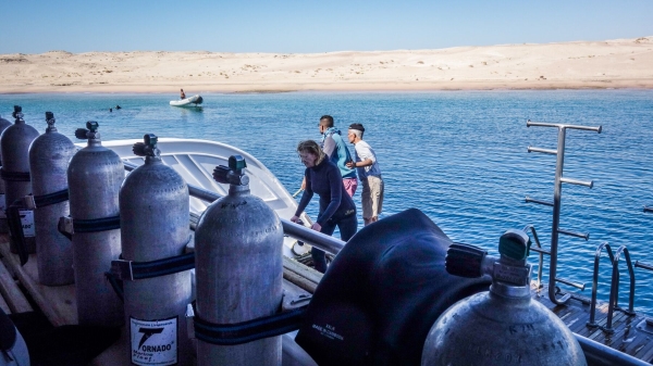 Red Sea Freediving Holiday - cw