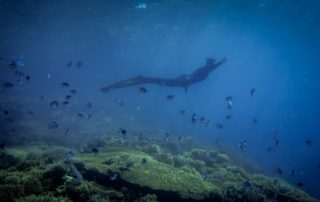 Red Sea Freediving Holiday - freediving