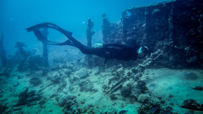 Red Sea Freediving Holiday - freediving11