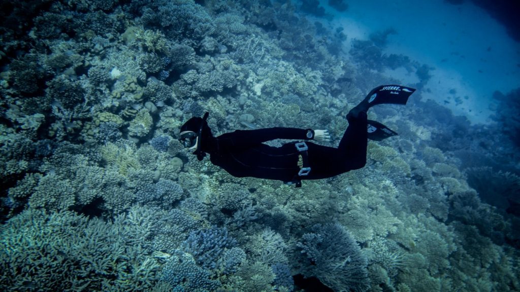 Red Sea Freediving Holiday - freediving3