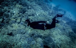 Red Sea Freediving Holiday - freediving3
