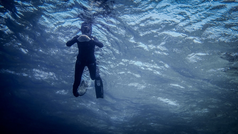 Red Sea Freediving Holiday - freediving4
