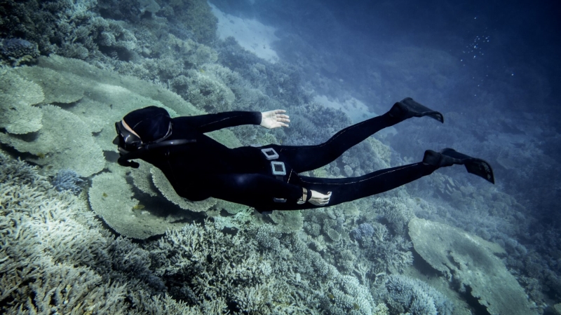 Red Sea Freediving Holiday - freediving5