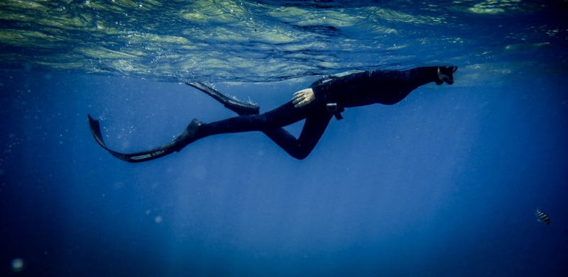 Red Sea Freediving Holiday - freediving6