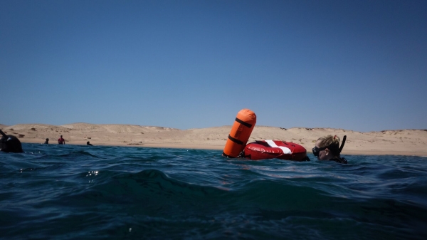 Red Sea Freediving Holiday - surface2