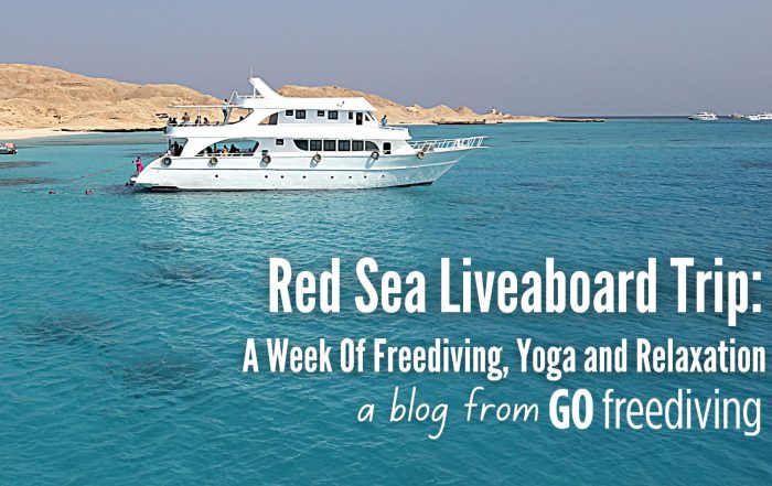 Red Sea Go Freediving