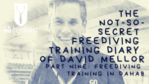 The Not-s0-secret Diary of David Mellor freediving training in dahab