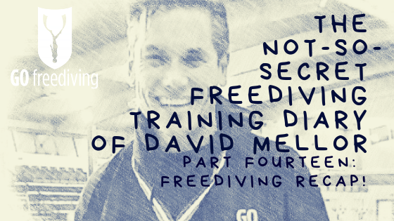 Not-s0-secret Diary of David Mellor freediving recap!