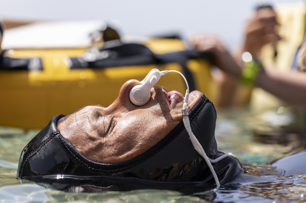 dahab freediving championships - David Mellor preparing