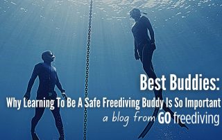 buddy importance Go Freediving