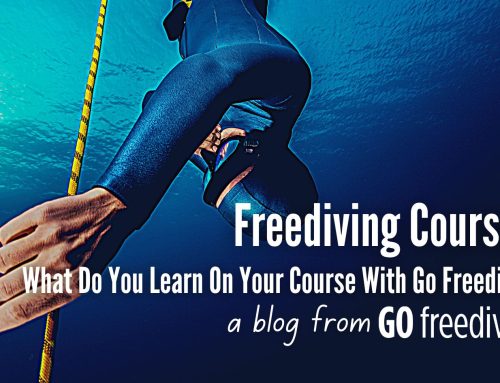 What Freediving Skills Do You Learn On A Freediving Course?