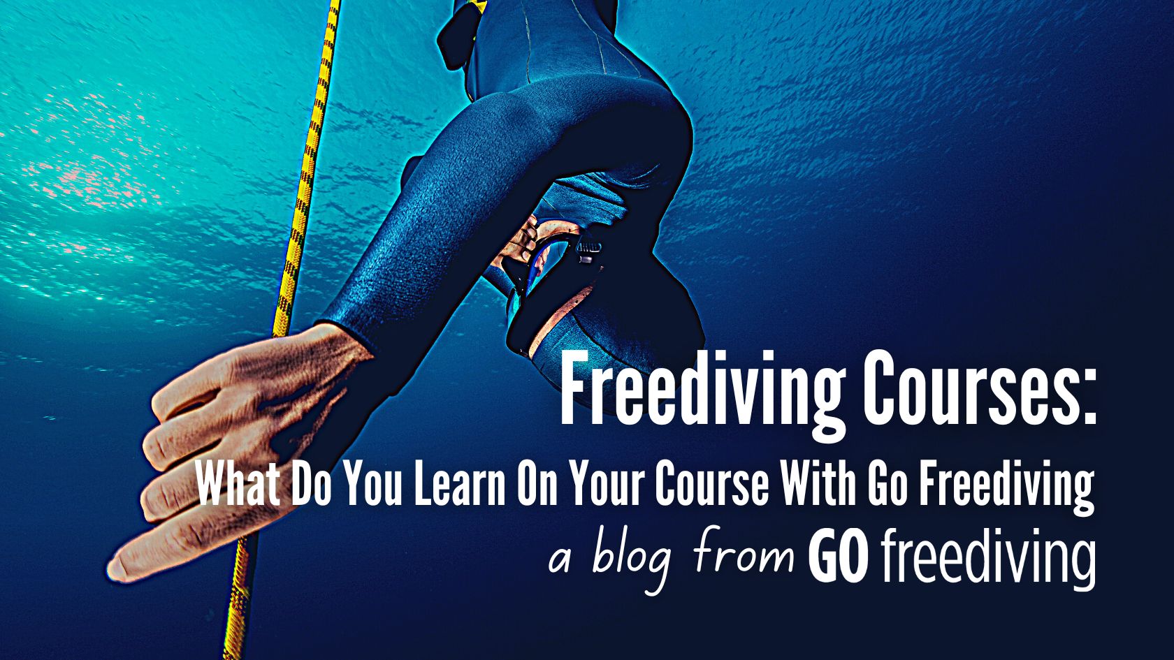 courses with Go Freediving