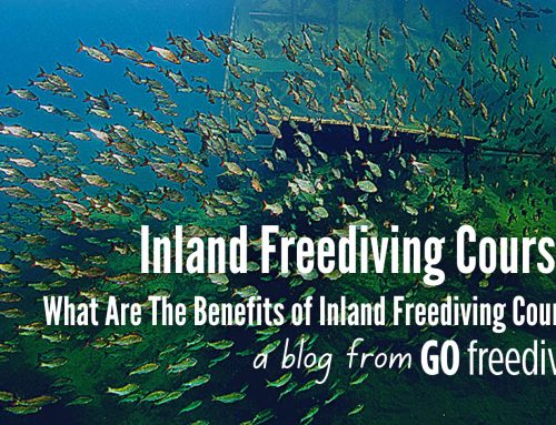 Inland Freediving Courses – What Are The Benefits?