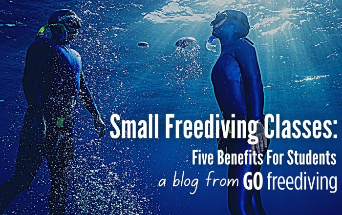 small classes Go Freediving