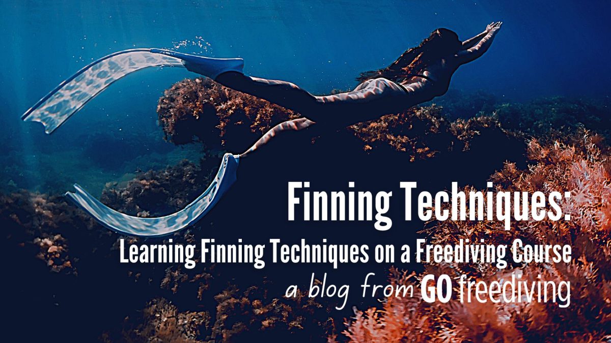 Learning Finning techniques on a Freediving Course Go Freediving
