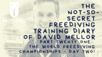 The world freediving championships 21