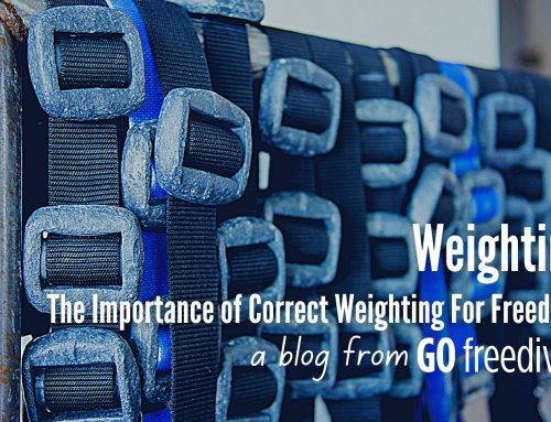 The Importance of Correct Weighting For Freediving