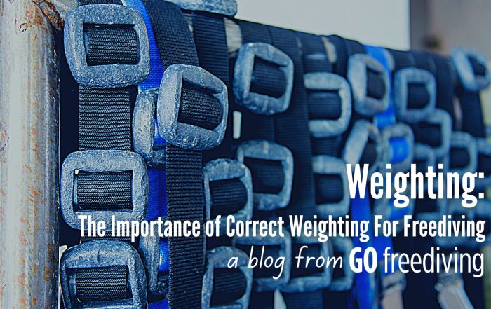 weightbelt