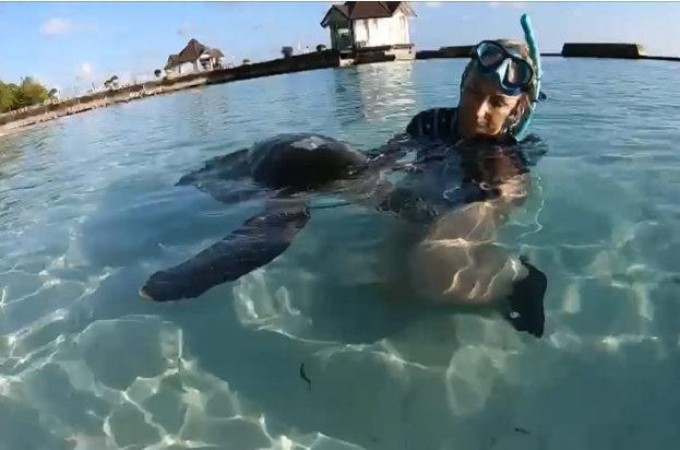 turtle rescue pash in lagoon