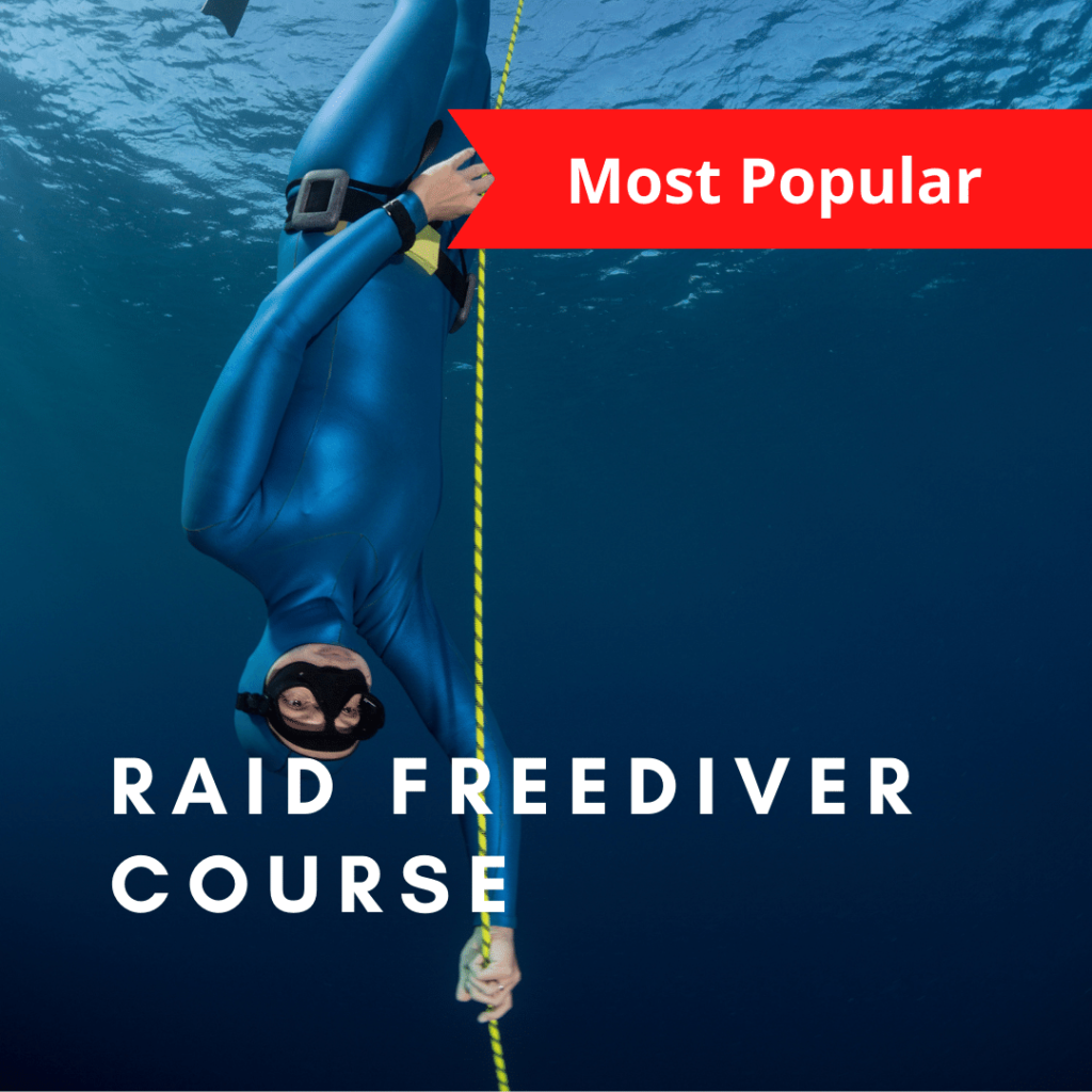 RAID freediver course
