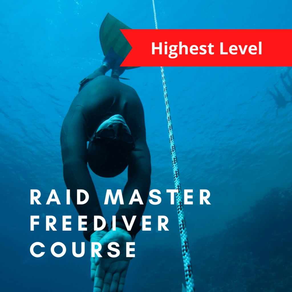 RAID Master Freediver Course