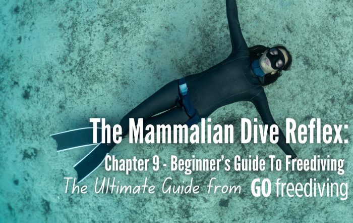 Guide 9 Go Freediving