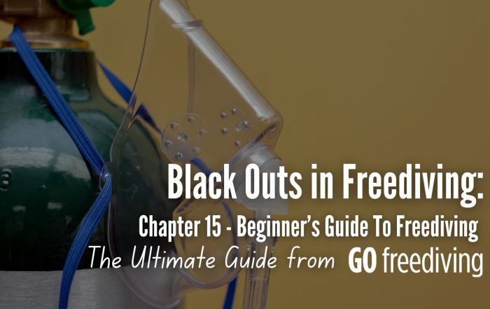 Guide 15 Go Freediving