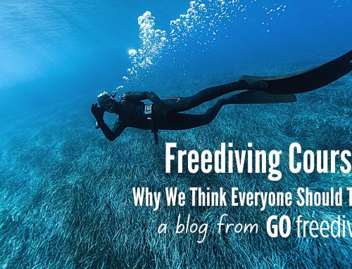 Why Everyone Should Do A Freediver Course!