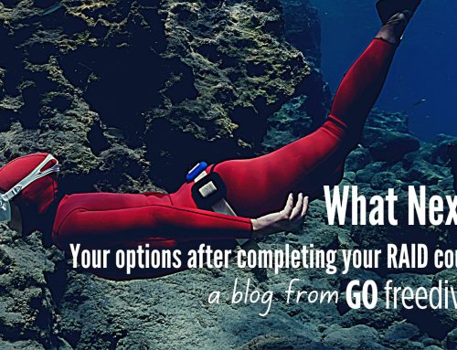 Freediving With Go Freediving – What Next?