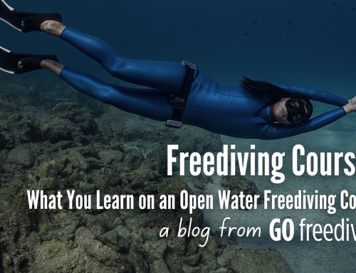 What Do You Learn On An Open Water Freediving Course?
