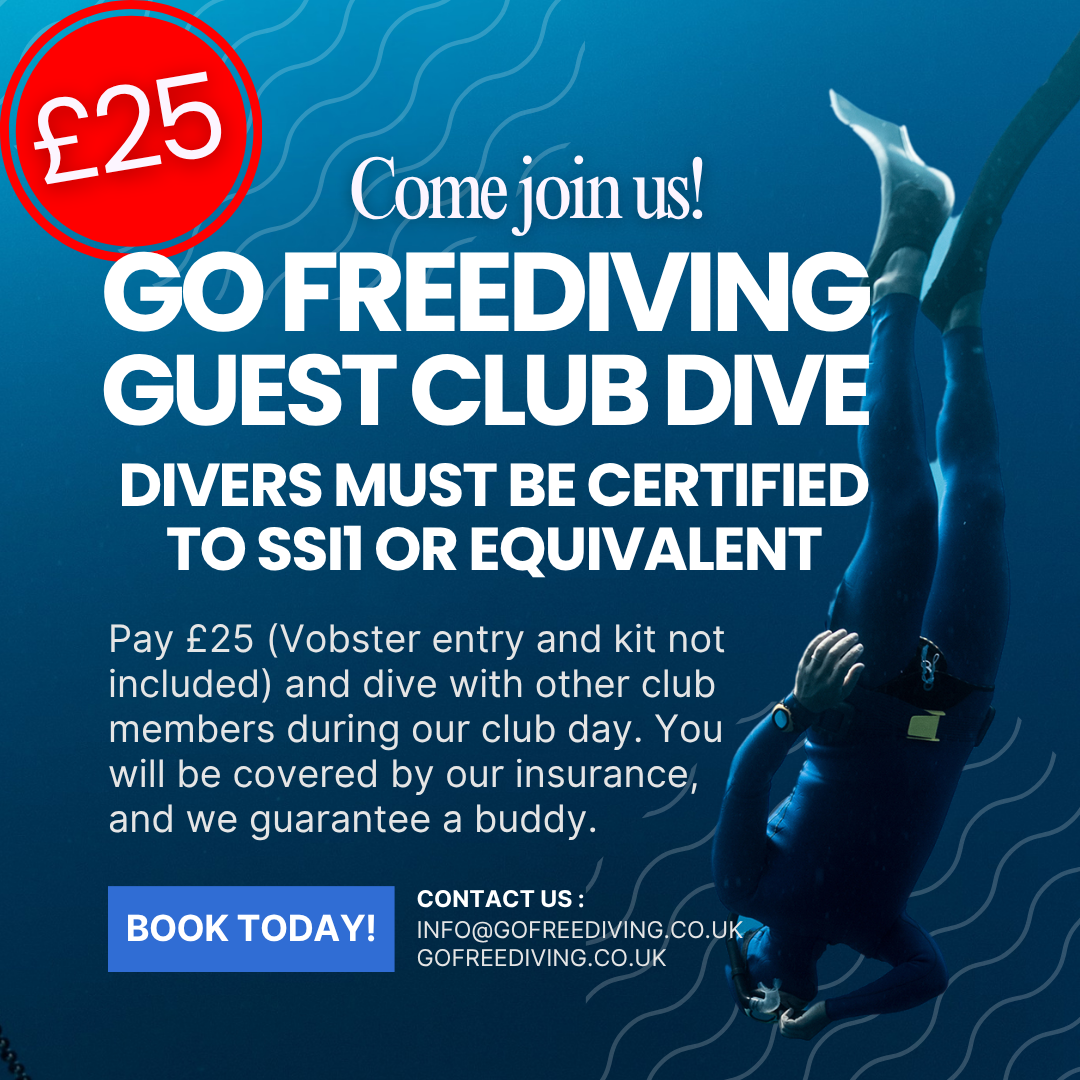 Guest Club Dive