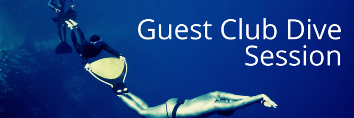 Guest Club Dive