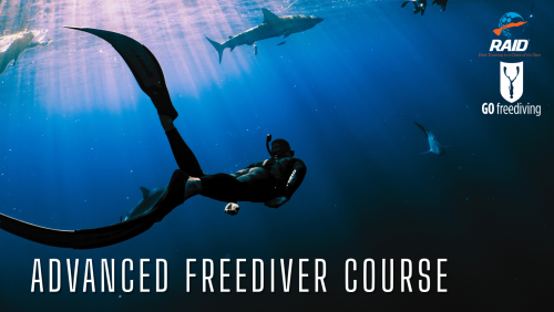 RAID Advanced Freediver course