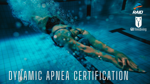 Dynamic Apnea Speciality Certification