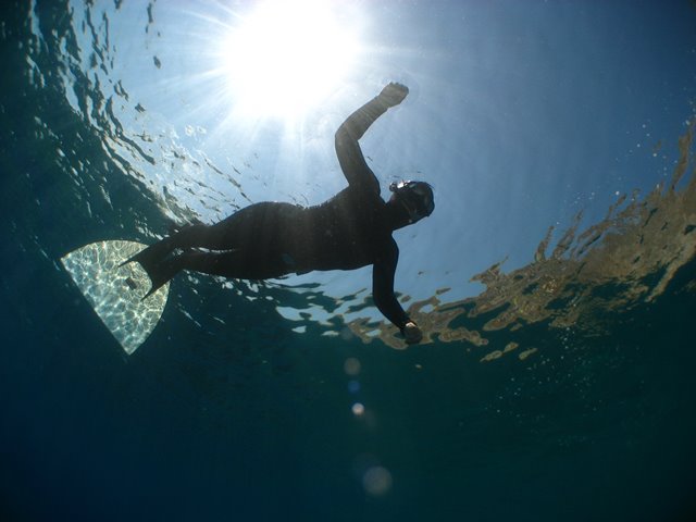 Monofin Fundamentals - Go Freediving